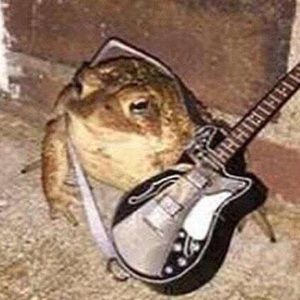 Meet your Posher, Meya